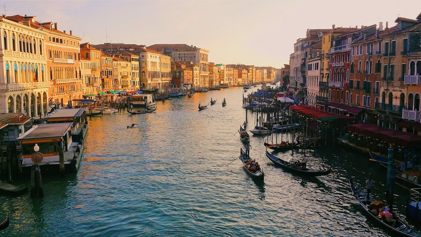 The Best Neighborhoods to Stay in Venice for First-Timers